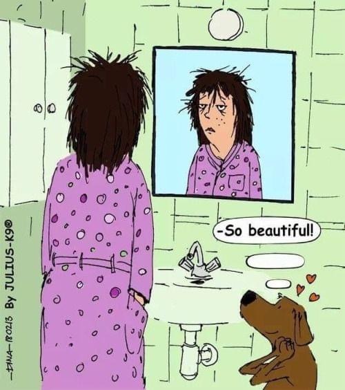 Cartoon: Hund schaut auf hässliche Frau mit voller Liebe