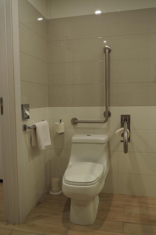Hotel RIU Palace Riviera Maya Zimmer 162 Badezimmer Bild 04: Blick auf die Toilette mit Haltegriffen.Der große Griff mit dem Toilettenpapierhalter lässt sich hochklappen.