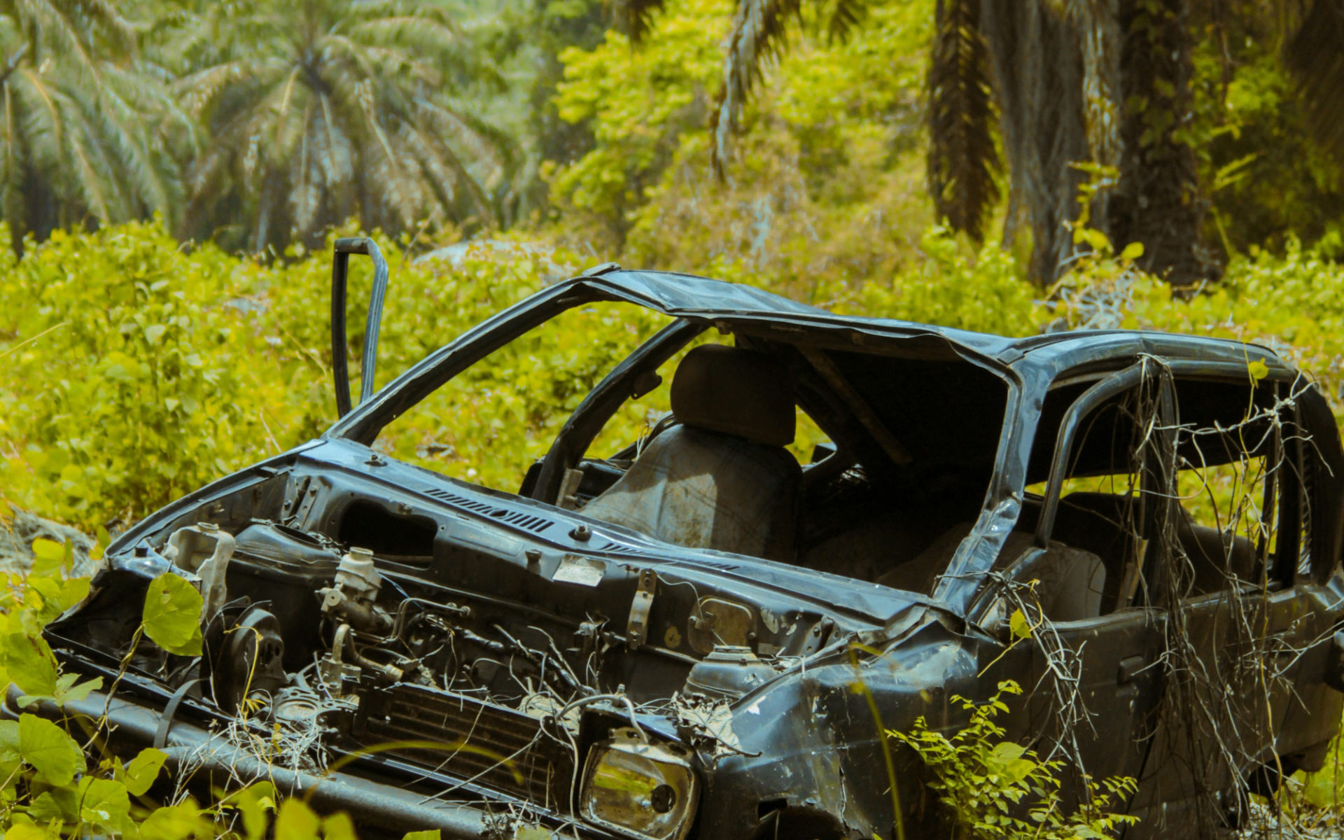 Demoliertes Auto steht in Natur