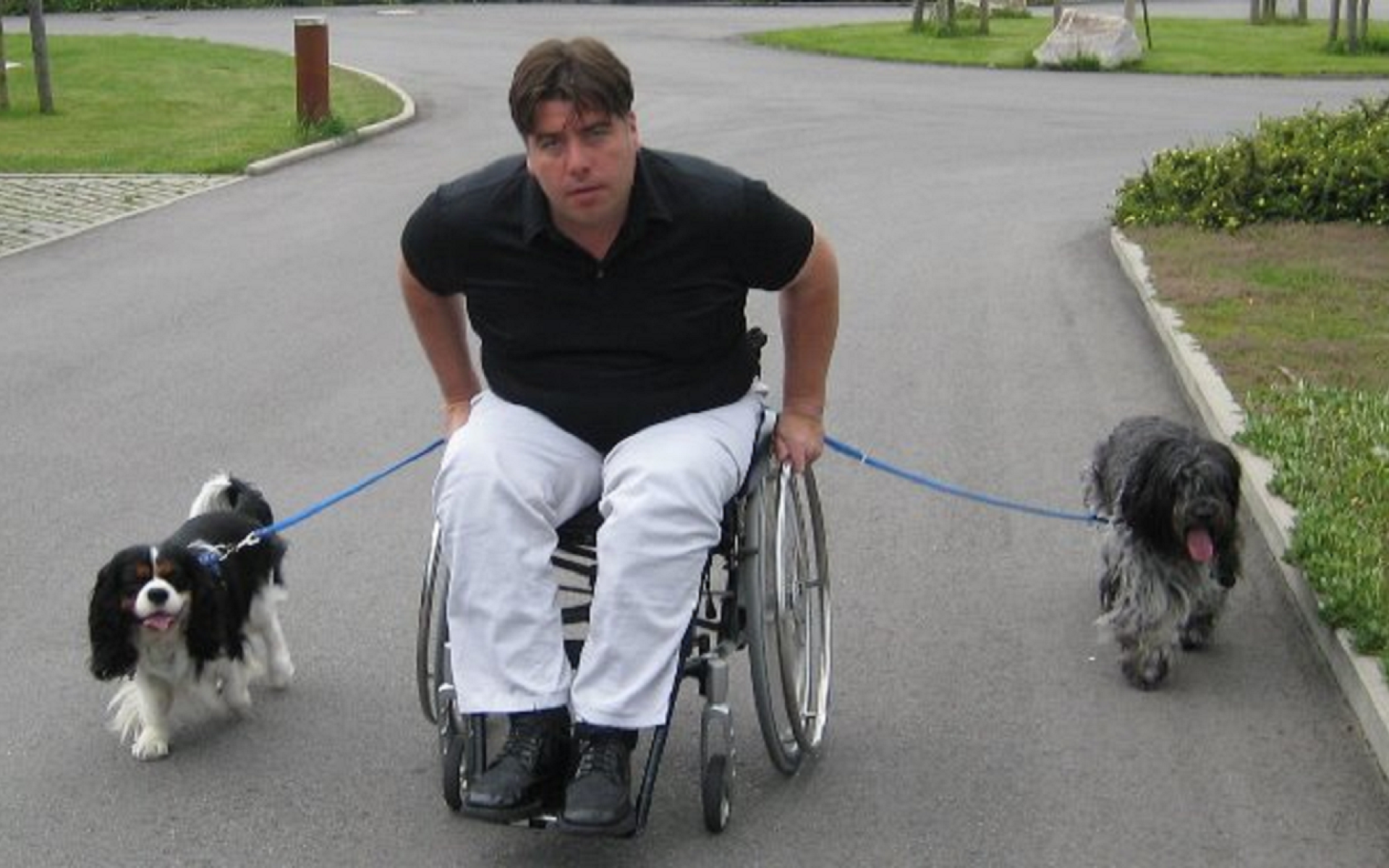 Rollstuhlfahrer der links und rechts einen Hund an der Leine hält