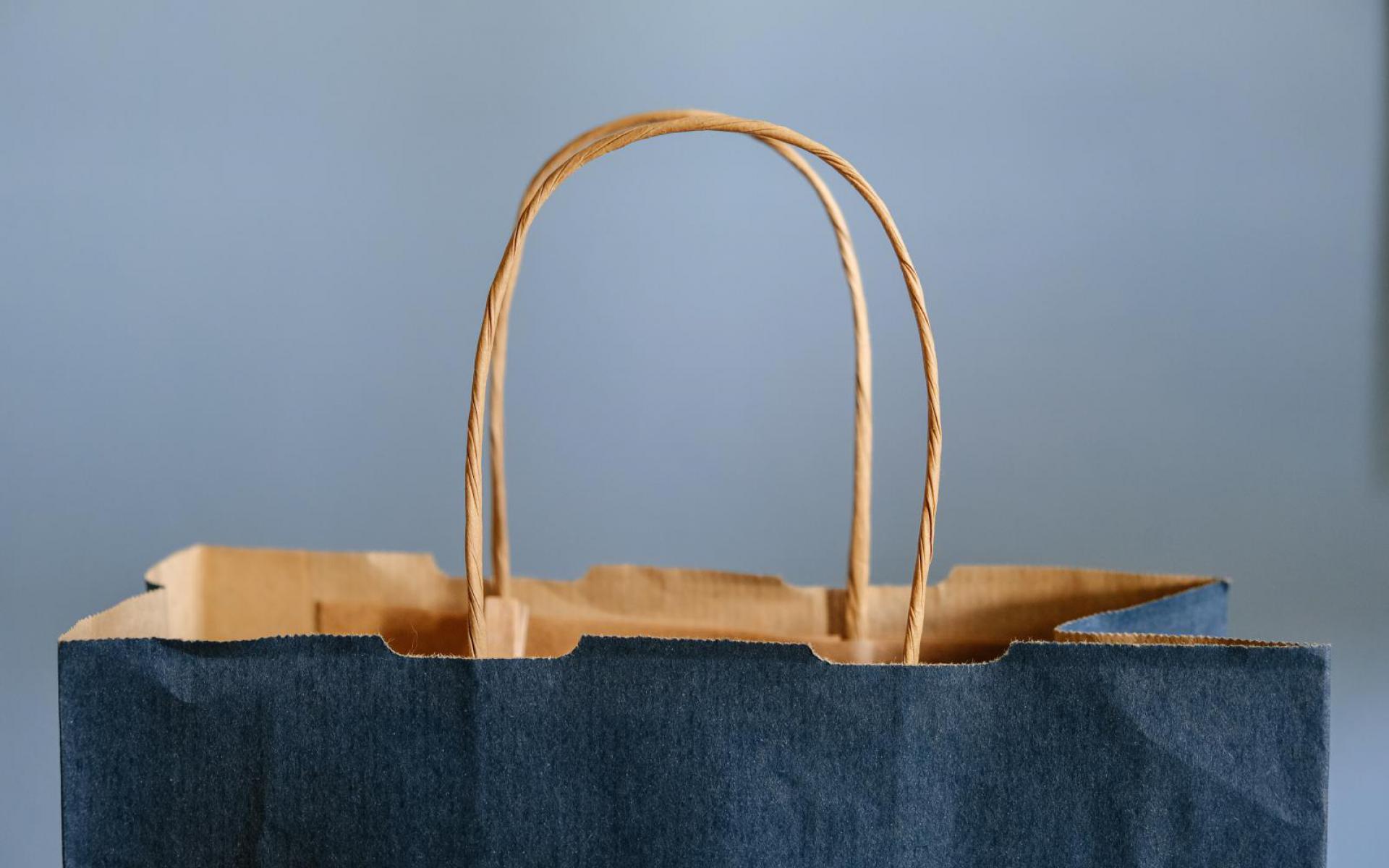 blau-braune Einkaufstasche aus Papier