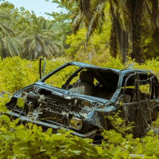 Demoliertes Auto steht in Natur