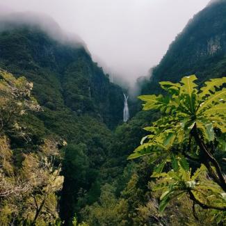 Blick in die Wildniss Madeiras